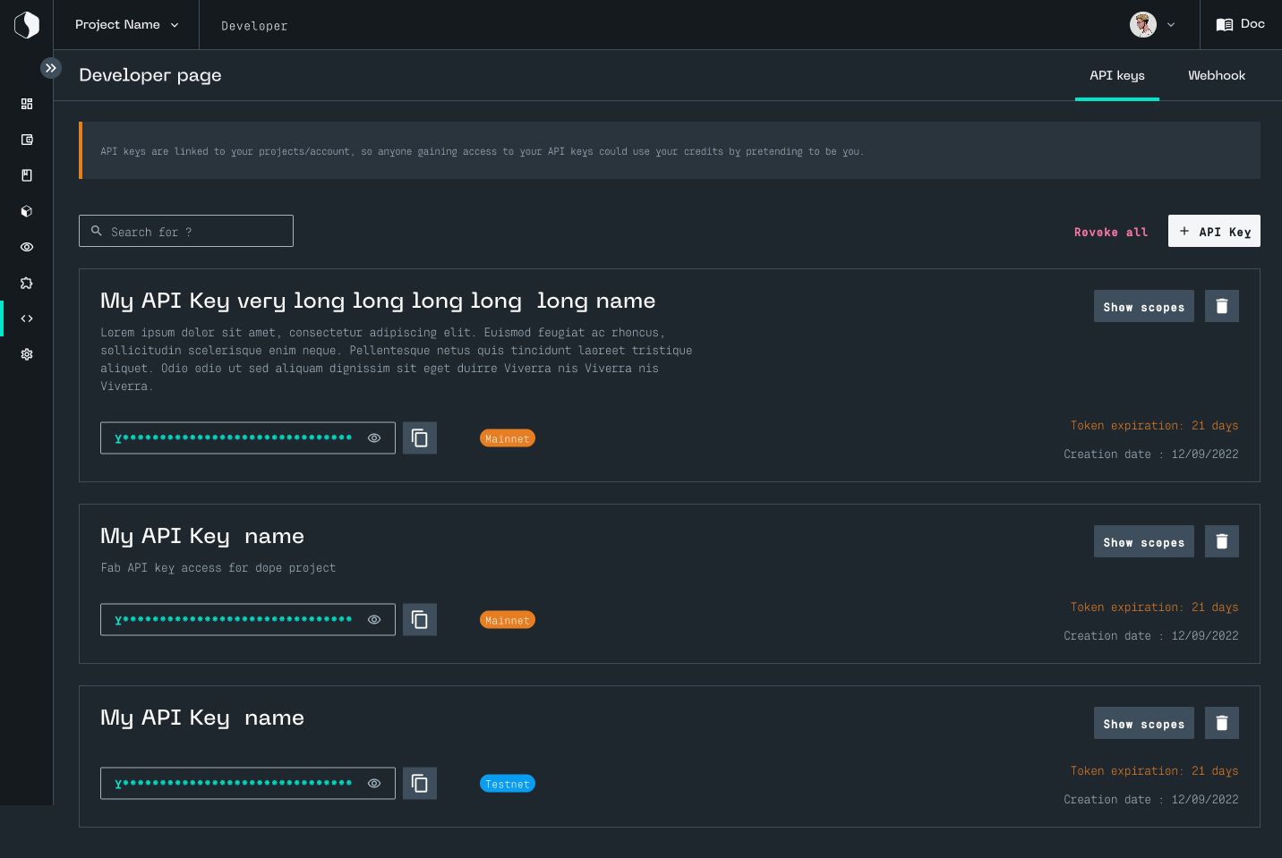 Page Developer, onglet API keys : un avertissement sur la sécurité des clés, puis trois clés, chacune avec son nom, sa valeur masquée à copier, son réseau, mainnet ou testnet, son expiration et sa date de création.